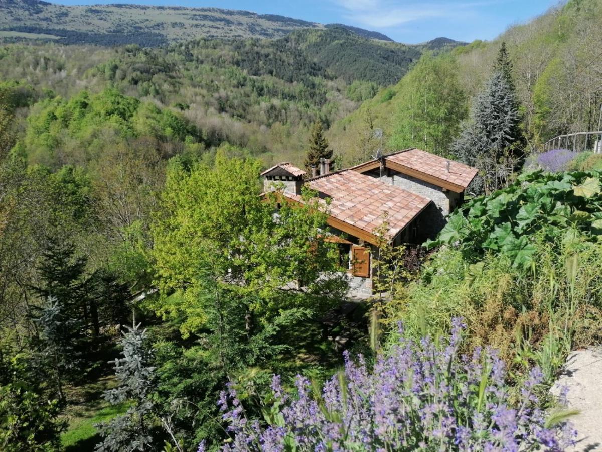 Les Pedres Villa Camprodon Eksteriør billede