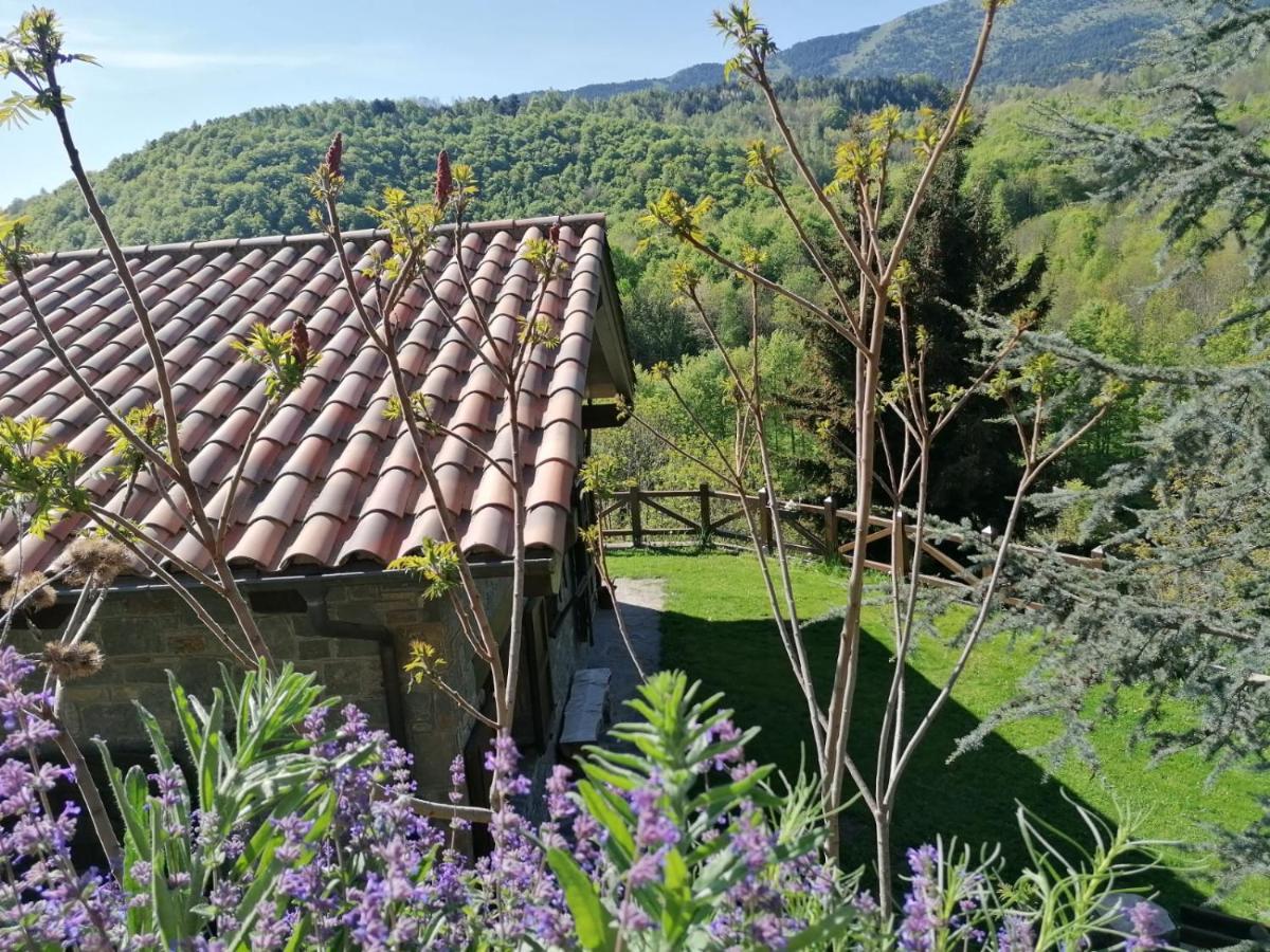 Les Pedres Villa Camprodon Eksteriør billede