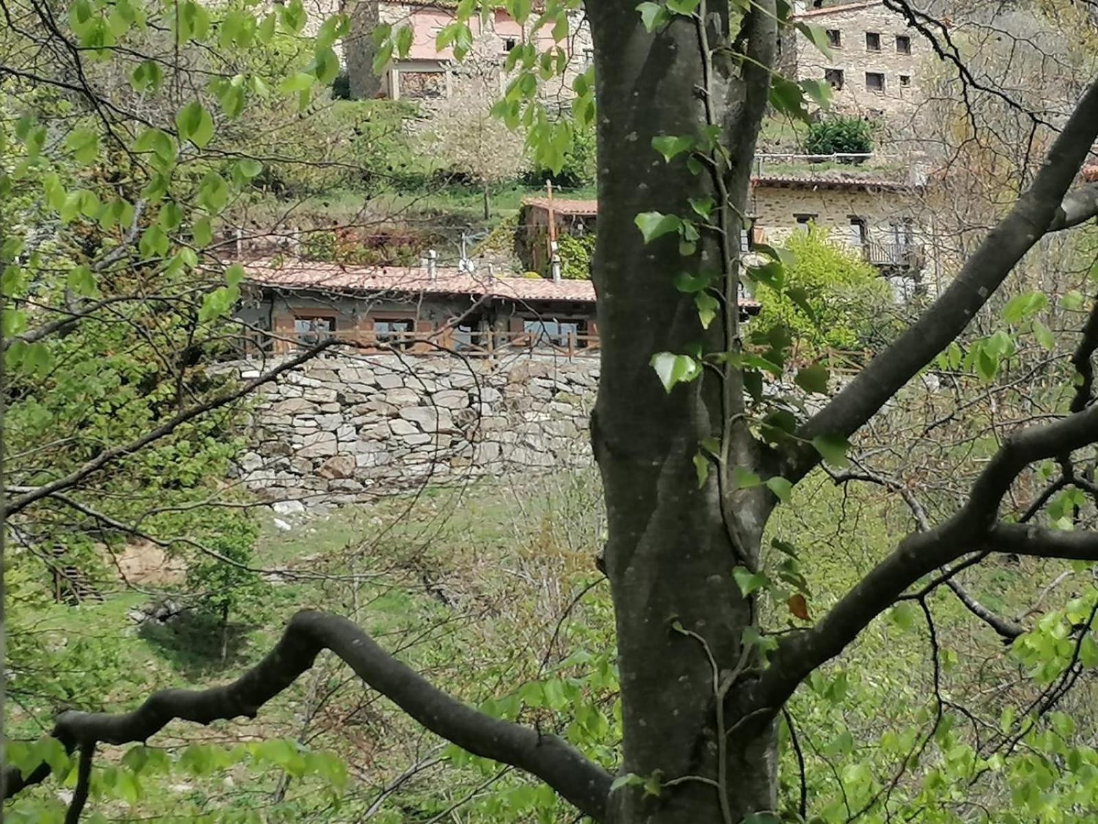 Les Pedres Villa Camprodon Eksteriør billede