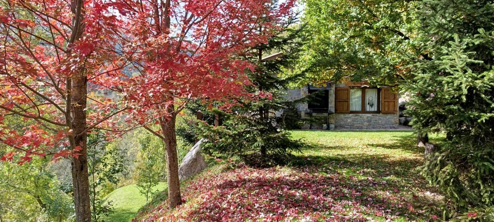 Les Pedres Villa Camprodon Eksteriør billede