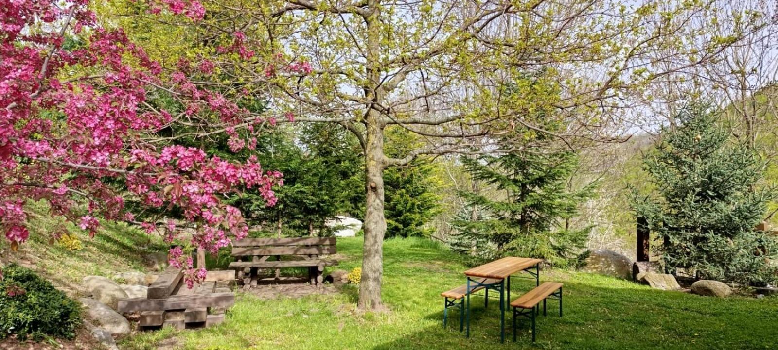 Les Pedres Villa Camprodon Eksteriør billede